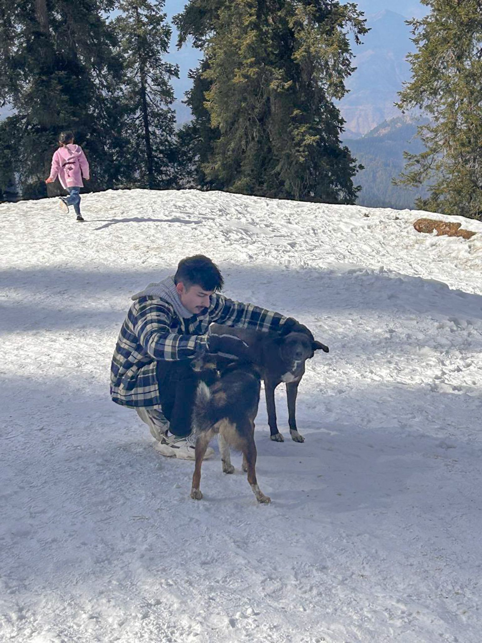 A person in petting two dogs in snow